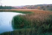 50-1.jpg 50-1.jpg