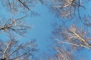 8A_00009.jpg