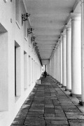 8A_00011-1.jpg