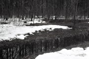 8_00045.jpg