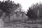 A5D12CA2-81F6-4444-A085-EB5B9DCF1B64.jpeg
