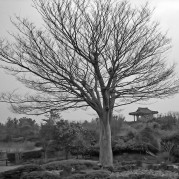 China_2_051-1.jpg