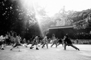 DSF0225.jpg