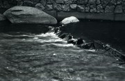 File01101L.jpg