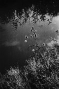 ILPAN100_190811_006.jpg