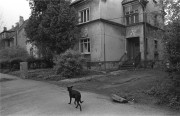 IMG00450.jpg