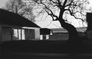 IMG01038.jpg