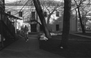IMG01781.jpg