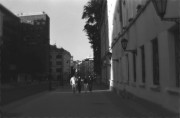 IMG01887.jpg