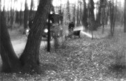 IMG03184.jpg