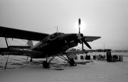 IMG38211.jpg