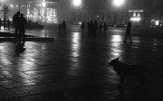 IMG629_.jpg