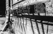 IMG_0006.jpg