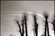 IMG_0038.jpg