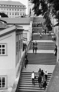 IMG_0300.jpg