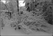 IMG_1645.JPG
