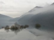 IMG_5488_awd.jpg