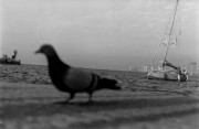 Image0045.JPG