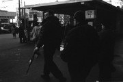 Img008.jpg