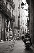 L1000586.jpg