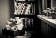 L1056372-2.jpg