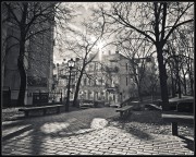 L9998275.jpg