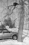 P1309057-_.jpg