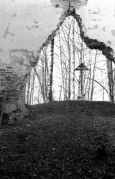 Scan-110319-0005.jpg