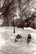 Scan-110329-0003-2.jpg