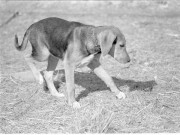 Scan-120623-0019.jpg
