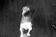 Scan-121201-0018.jpg