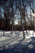 Scan-130122-0015-2.jpg