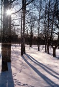 Scan-140203-0003-2-2.jpg