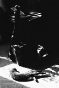 Scan-170506-0004.jpg
