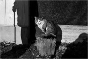 Scan_0028.jpg