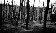 Sity_mix0180.jpg
