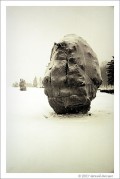 Untitled-24.jpg