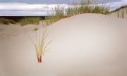 Untitled-Scanned-273.jpg