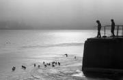 Untitled_14_res.jpg