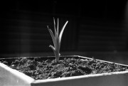 Untitled_36_-2.jpg