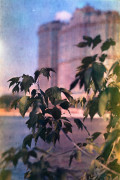 Untitled_3_13.jpg
