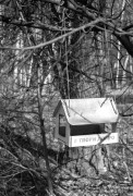 ZORKI_1_ILFORD_PAN_100_at_200_RDN_1-25_13_min_20C_APRIL_2025-0006.jpg