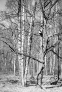 ZORKI_1_ILFORD_PAN_100_at_200_RDN_1-25_13_min_20C_APRIL_2025-0007.jpg ZORKI_1_ILFORD_PAN_100_at_200_RDN_1-25_13_min_20C_APRIL_2025-0007.jpg