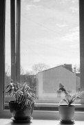 ZORKI_1_ILFORD_PAN_100_at_200_RDN_1-25_13_min_20C_APRIL_2025-0020.jpg
