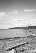 ZORKI_3M_ILFORD_PAN_100_at_200_RDN_1-25_13_min_20C_APRIL_2025-0018.jpg ZORKI_3M_ILFORD_PAN_100_at_200_RDN_1-25_13_min_20C_APRIL_2025-0018.jpg