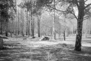 ZORKI_3M_ILFORD_PAN_100_at_200_RDN_1-25_13_min_20C_APRIL_2025-0066.jpg