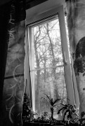 ZORKI_6_YUPITER_12_FOMAPAN_100_at_200_D76_1x1_10_min_aprel_2024_231.jpeg