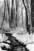 ZORKI_I_KENTMERE_100_at_200_D_76_1X1_15min_30s_january_2021_271.jpg