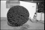 crop00191.jpg