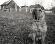 img02511.jpg